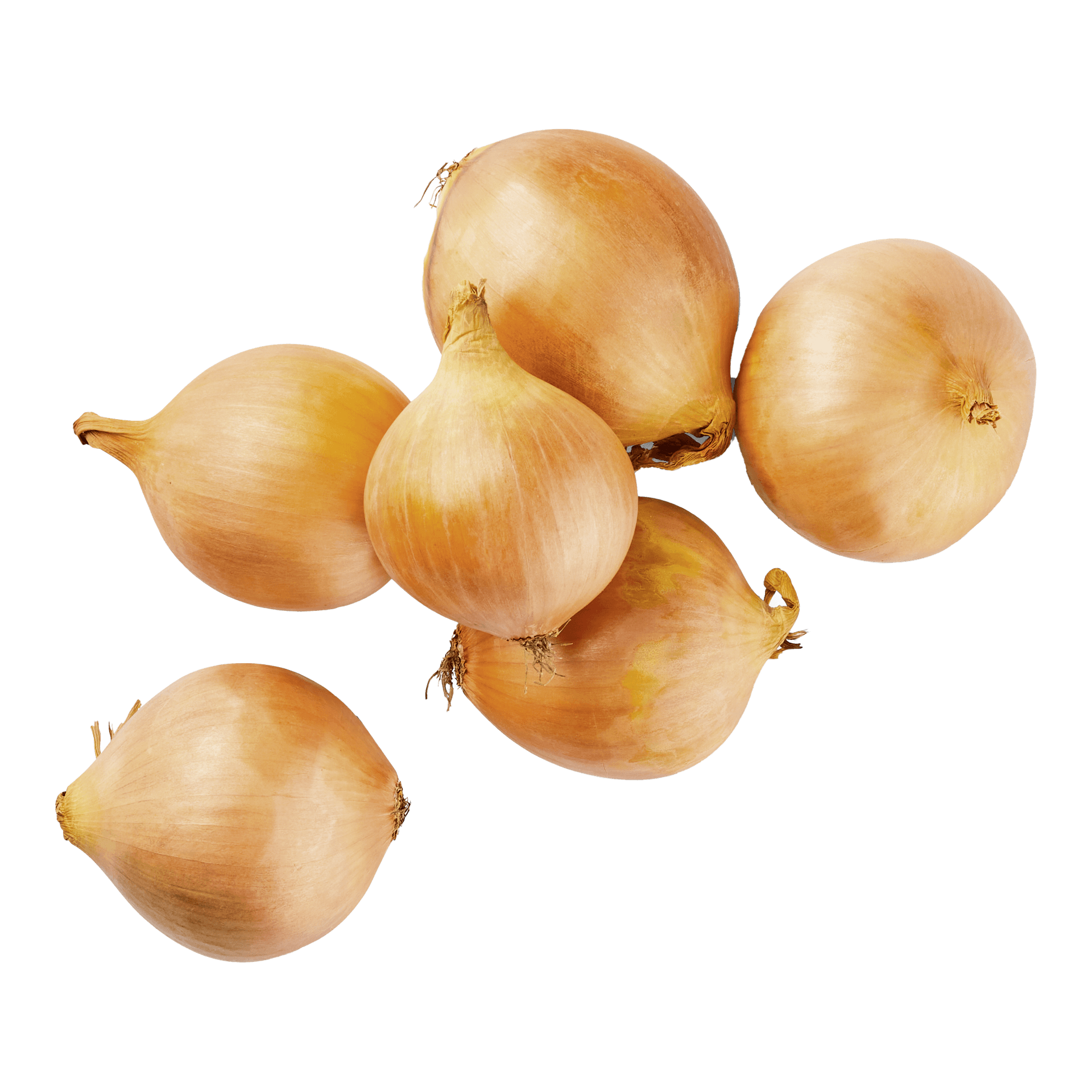 Oignons jaunes