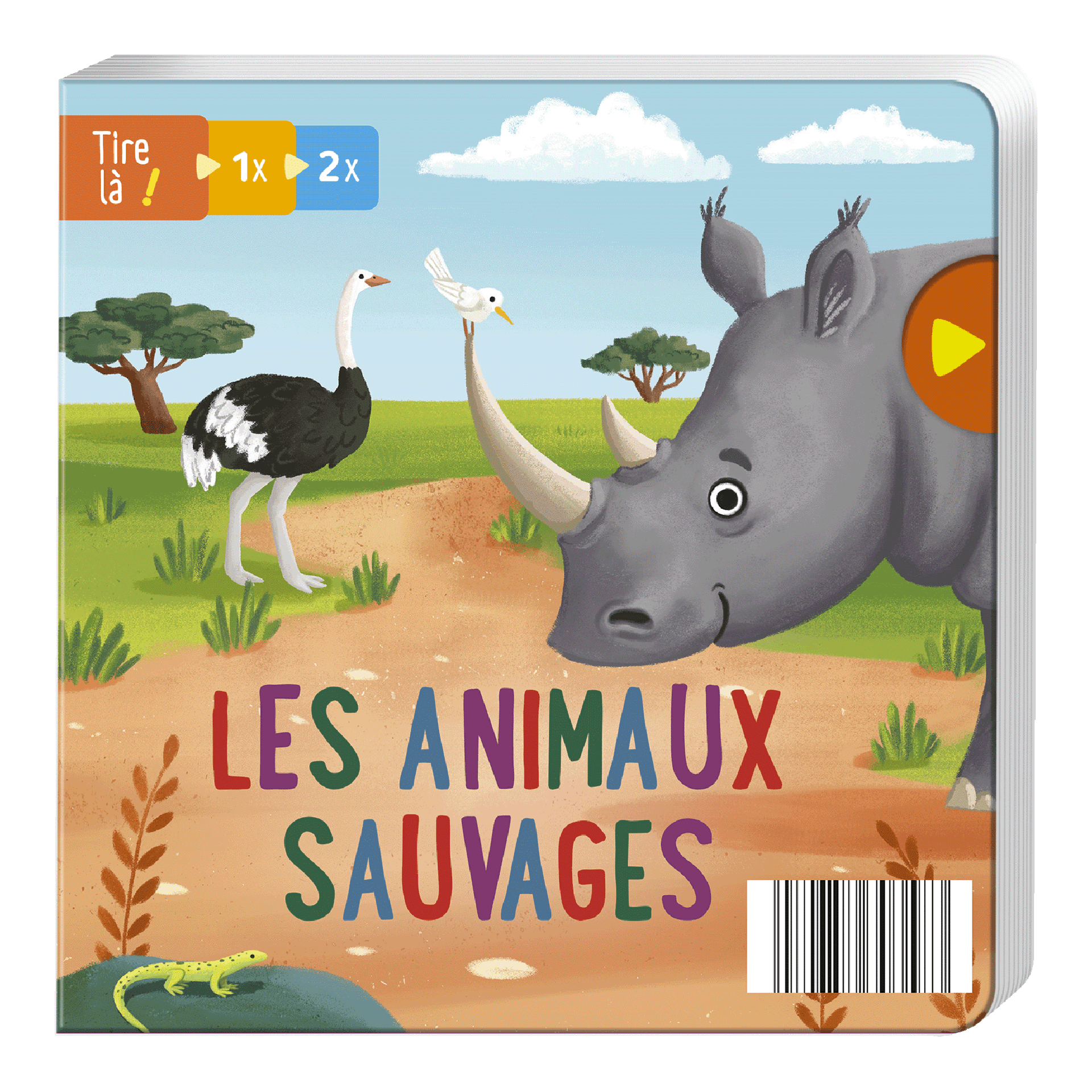 Livre Carton Découverte