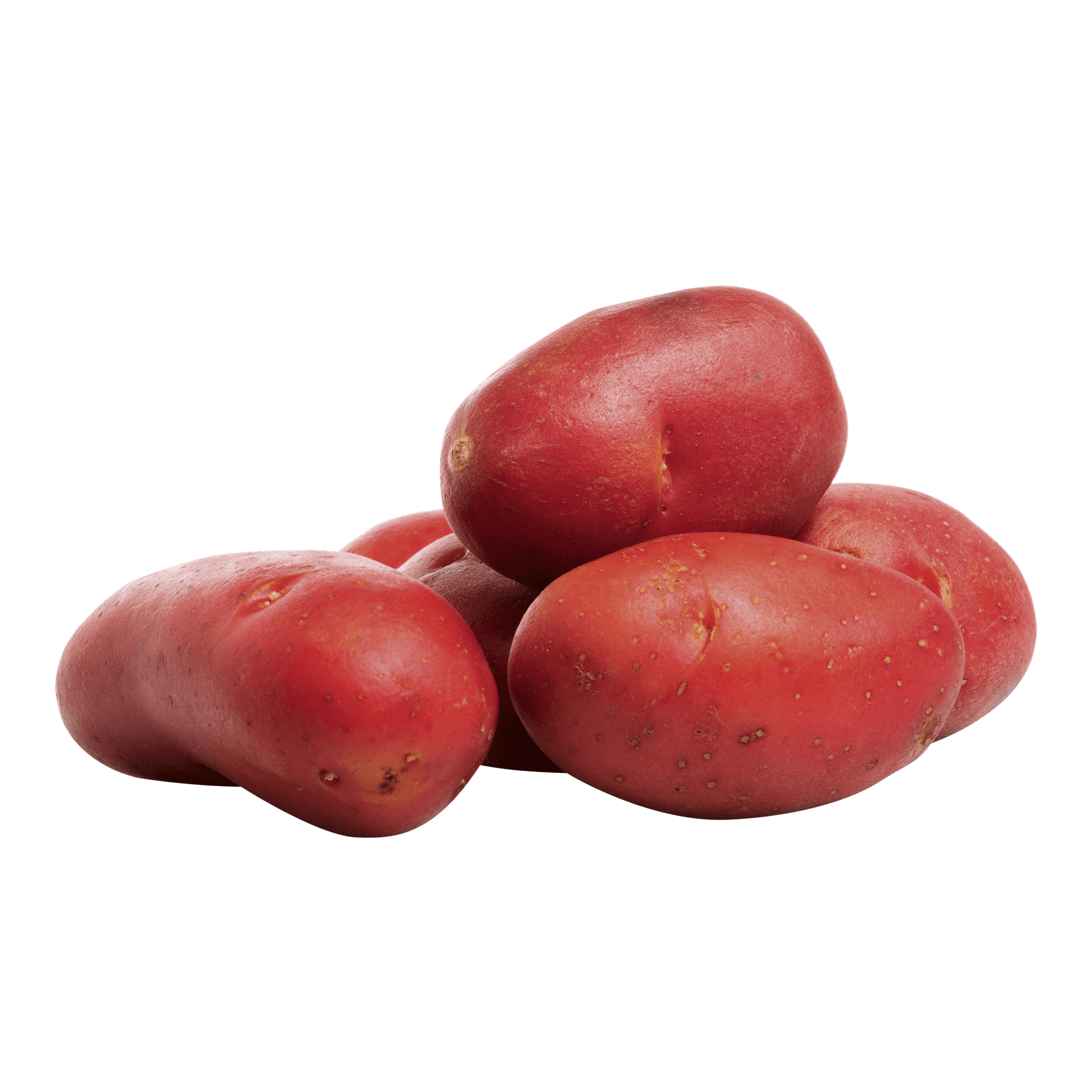 Pomme de terre de consommation à chair ferme