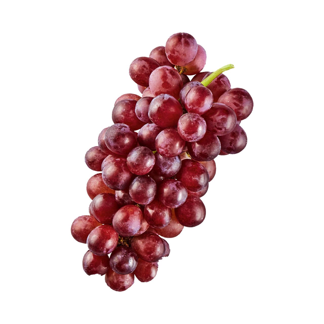 Raisin