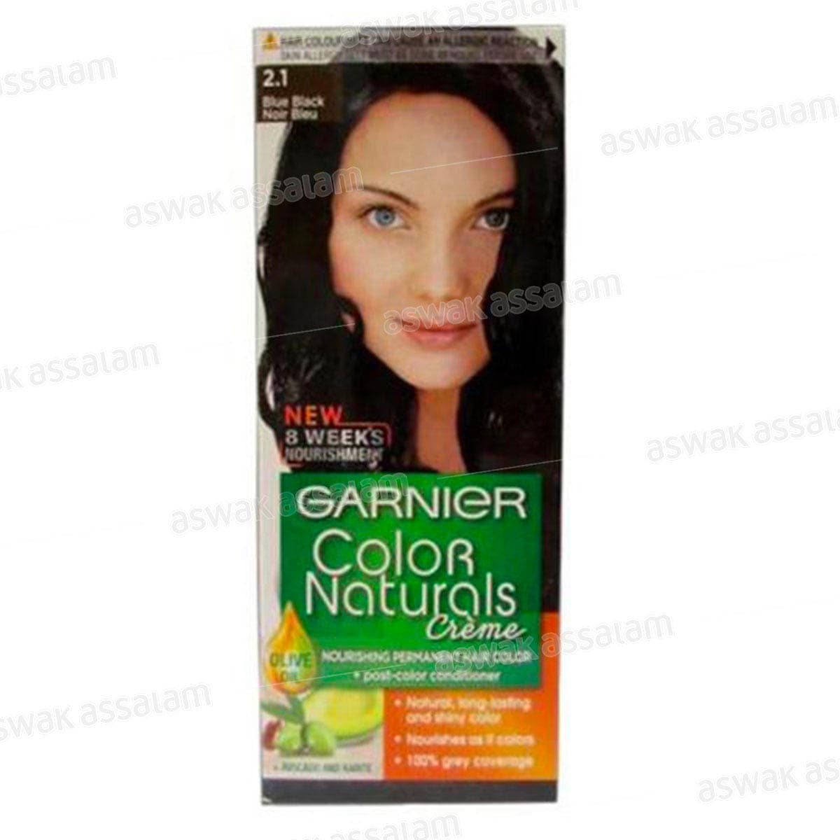 Coloration 2.1 Noir Bleu Color Naturals Garnier