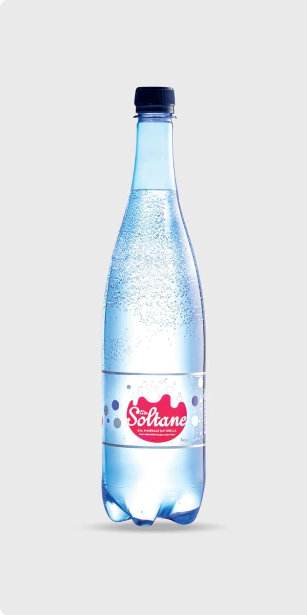 Eau minérale gazeuse 1L – AÏN SOLTANE