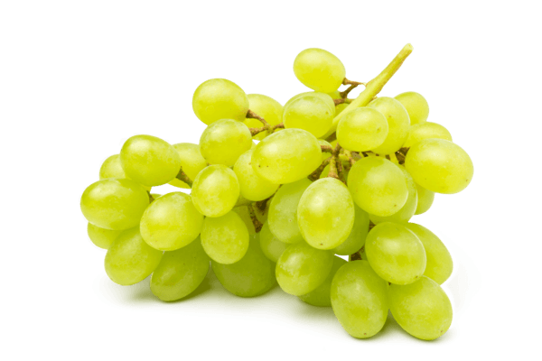 Raisin Blanc de Sicile