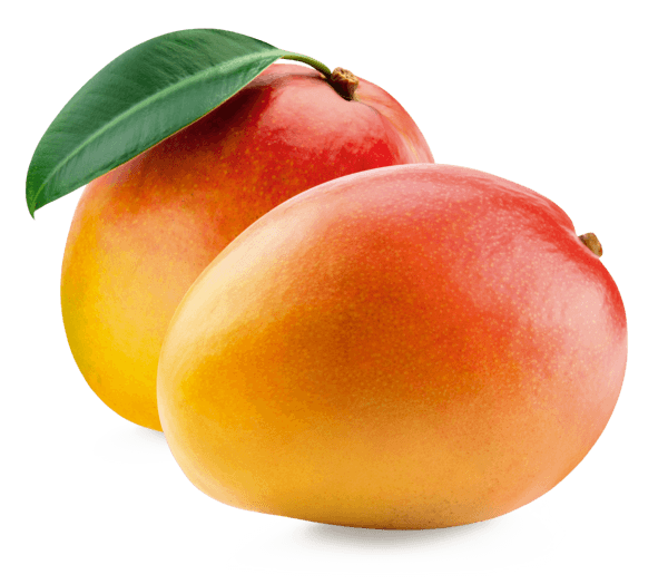 Mangue