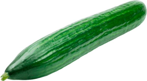 Concombre