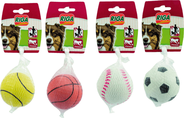 Jouet pour Chien Balle Divers Sport Riga
