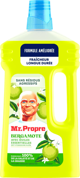 Nettoyant Ménager Mr Propre