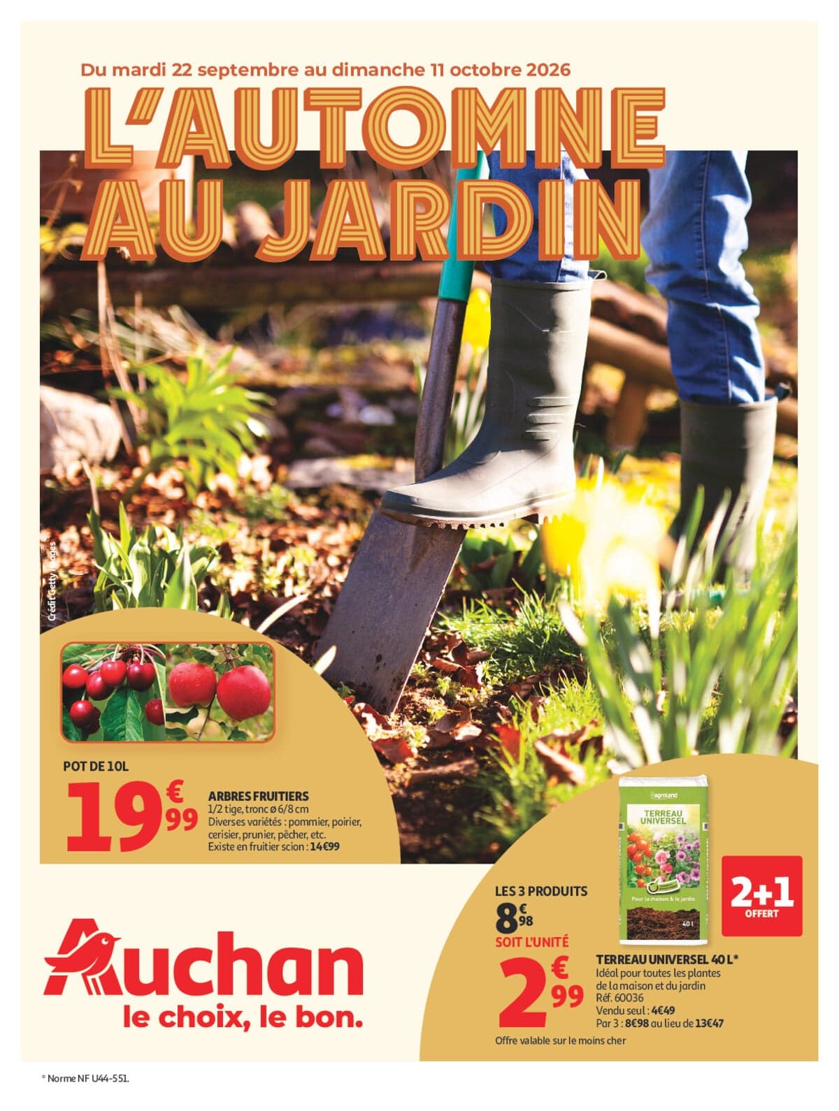 Jardinage automne