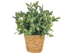 Plante Artificielle Thé avec Pot d'Herbe Marine Kasa 30 cm