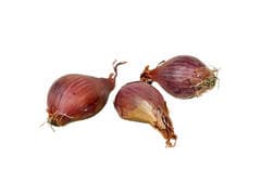 Échalote Rouge 250g
