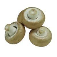 Champignons Moyens Pieds Entier