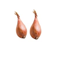 Echalote Vrac