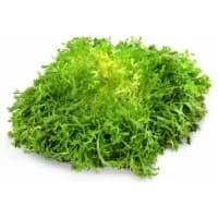 Salade Frisee