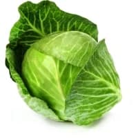 Chou Bio Vert