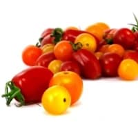 Tomates Cerise Allongees