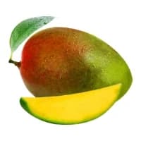 Mangue Bio