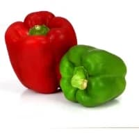 Poivrons Panaches Bio Rouge Vert