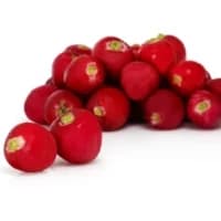 Radis Equeutes Rouges