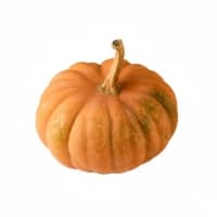 Courge Musquee
