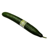 Concombre Bio