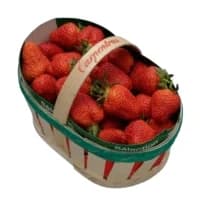 Fraises De Carpentras