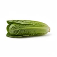 Salade Romaine