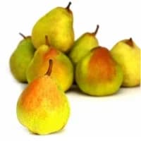 Poires Guyot