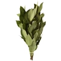 Laurier Frais
