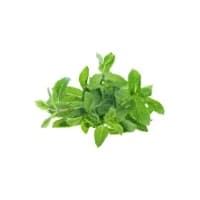 Menthe Fraiche