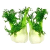 Fenouil Vrac Bio