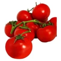 Tomate Ronde En Grappe Vrac Bio