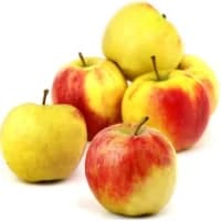 Pommes Elstar
