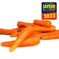 Carottes