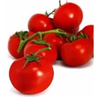 Tomates Rondes Bio