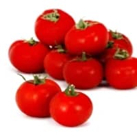 Tomates Rondes Petit Prix
