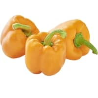 Poivron Orange Vrac