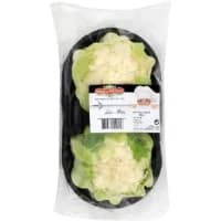 Mini Chou Fleur 2 Tetes Prince De Bretagne