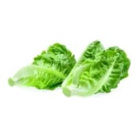 Salade Coeurs De Romaine