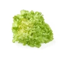 Salade Scarole Bio