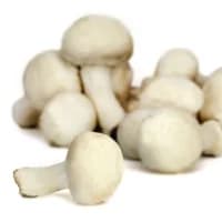 Champignons Blanc