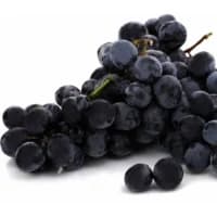 Raisin Noir Bio