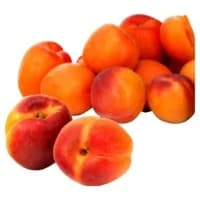 Abricots Agroecologie Reflets De France
