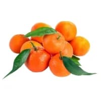 Clementines Feuilles