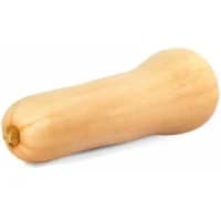 Butternut
