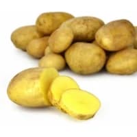 Pommes De Terre Primeur Delicatesse Reflets De France