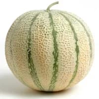 Melon Nos Regions
