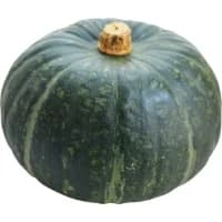 Courge Buttercup Bio