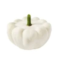 Courge Patisson Carrefour Bio