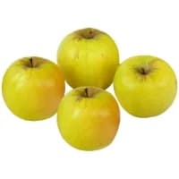 Pommes Opal Vrac Bio