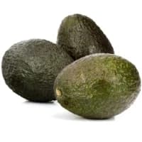 Avocat Baby Petit Prix